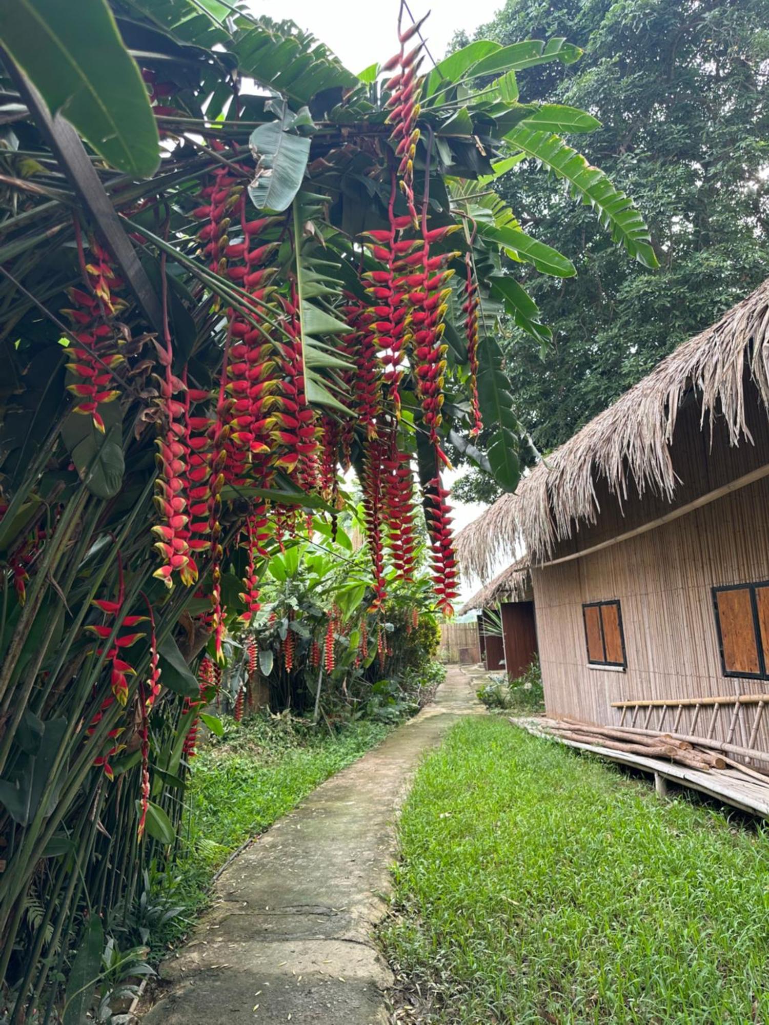 Luong Son Homestay Ecolodge Cao Bang Exterior foto